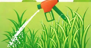 Can You Spray Curtail On Grass