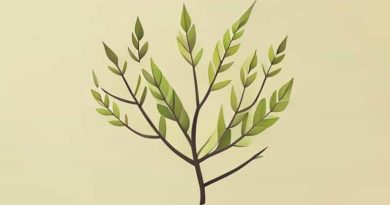 Cuscuta Is A Saprophyte Or Not