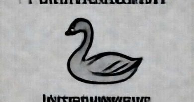 Cygnet One Interview Questions