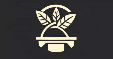 Decline Of Handicraft Industry