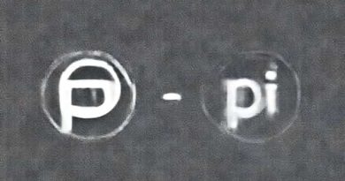 Difference Between P&I And P I
