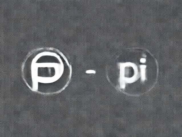 Difference Between P&I And P I
