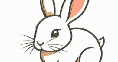 Do Baby Rabbits Have Tularemia