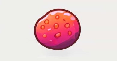 Does Protozoa Have A Cell Wall