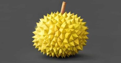 Durian What Does It Taste Like