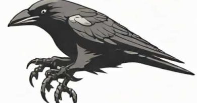 Eve Online Jackdaw Abyssal Fit