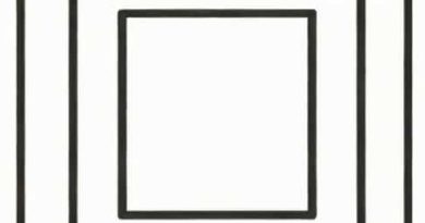 Find The Perimeter Of A Square