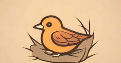 Found A Nestling On The Ground