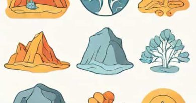 Four Kinds Of Metamorphism Are