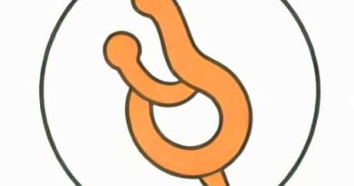 Function Of Ureter And Urethra