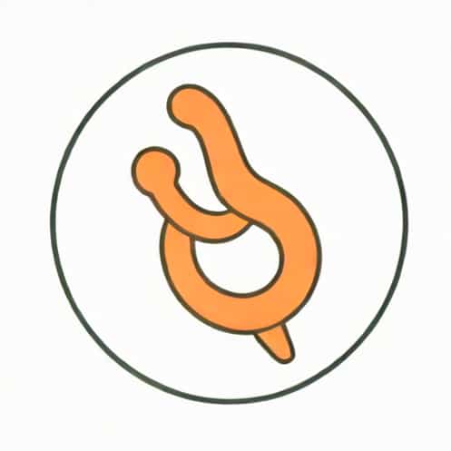 Function Of Ureter And Urethra