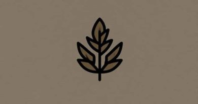 Germany Weed Legalization News