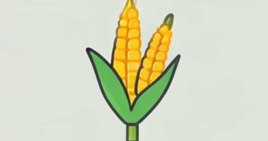 Gimcrack Corn And I Don T Care