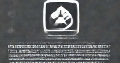 Granblue Fantasy Relink Review