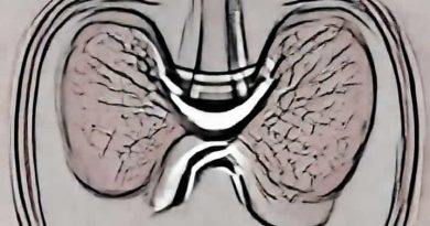 Histology Of Parathyroid Gland