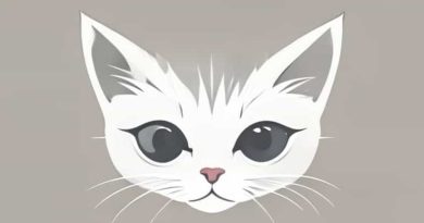 How Do Kittens Open Their Eyes