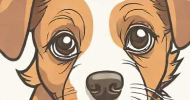 How Do Puppies Open Their Eyes