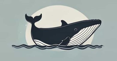 How Do Whales Beach Themselves