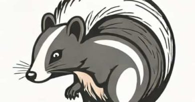 How Long Does Skunk Smell Last