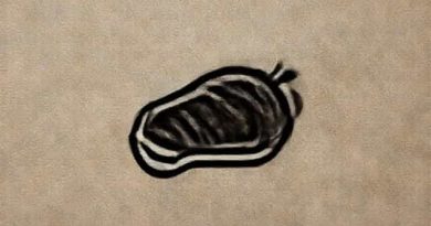 How Long To Braise Chuck Roast