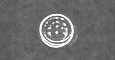 How Many Calories In A Chapati