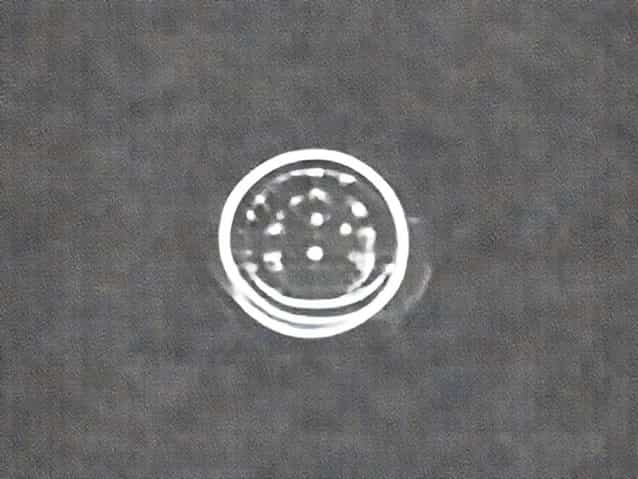 How Many Calories In A Chapati