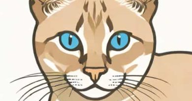 How Much Are Lynx Point Siamese