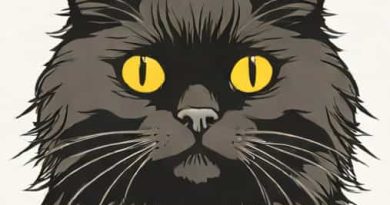 How Much Is A Black Persian Cat