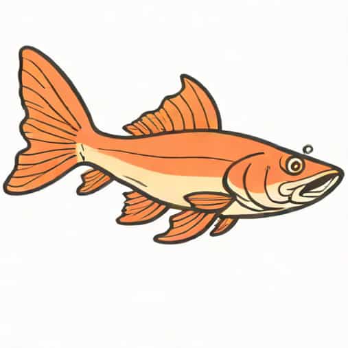 How Much Is A Red Tail Catfish