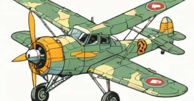 How Much Is A Scalewings Sw 51