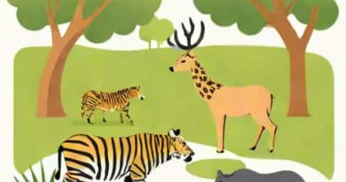 How Much Is Fota Wildlife Park