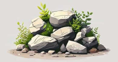 How To Make A Rockery In Shade