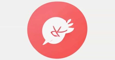 How To Use Balmy In A Sentence