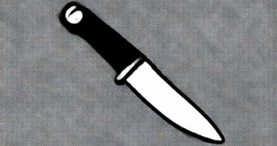 Hughes And Kettner Switchblade