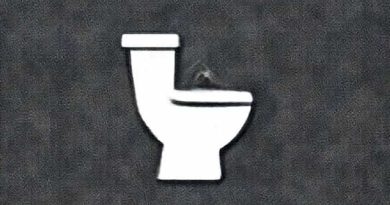 I Clogged The Toilet With Poop