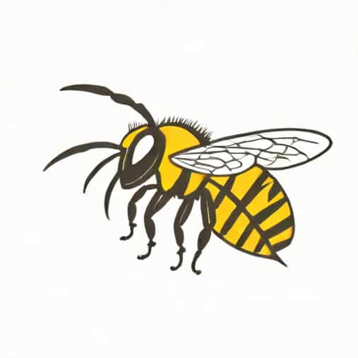 I Was Stung By A Yellow Jacket