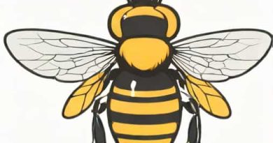 Is A Bald Faced Hornet A Hornet