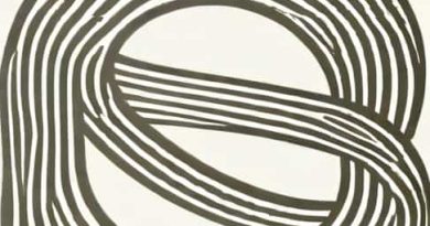 Is A Slinky A Longitudinal Wave