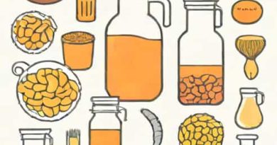 Jomtam Bifida Ferment Filtrate