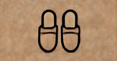 Just Sheepskin Ladies Slippers