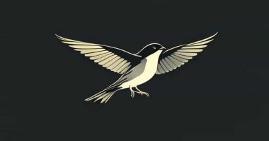 Kate Bush Night Of The Swallow