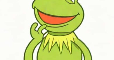 Kermit The Vibe Is In Shambles