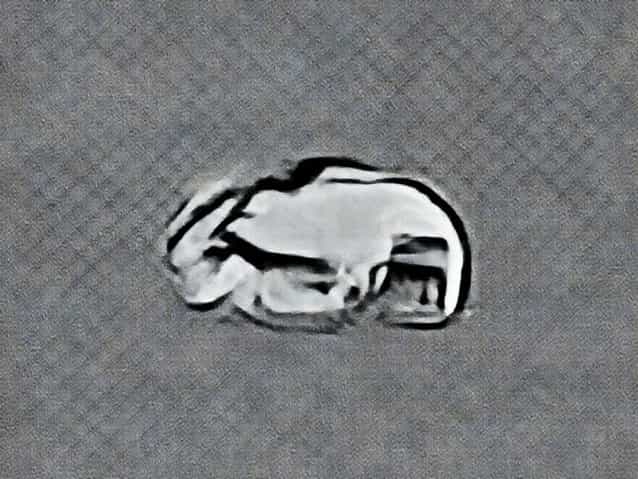 Krebs Und Wassermann Beziehung