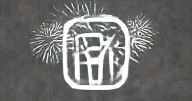 Largest Purchaser Of Fireworks