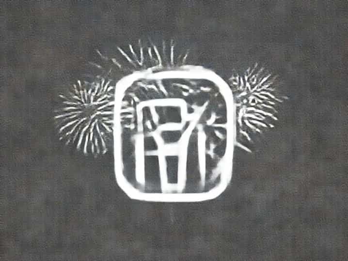 Largest Purchaser Of Fireworks