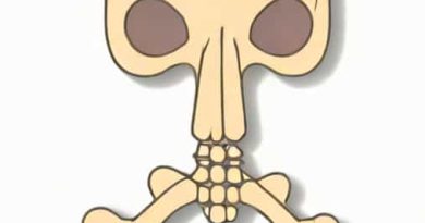 Last Bone To Ossify In The Body