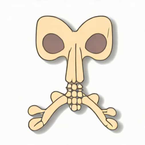 Last Bone To Ossify In The Body