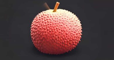 Lychee What Does It Taste Like