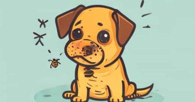 My Dog Got Stung By A Bee Meme