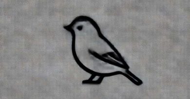 Nelson'S Sparrow Criminal Minds